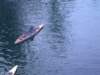 dscf0049_small.jpg