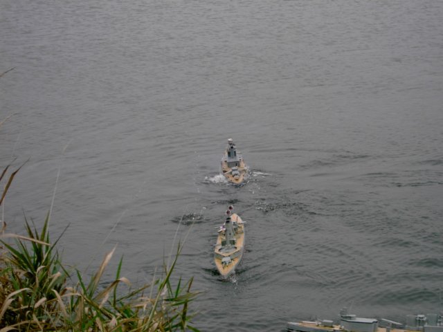 portpolarbear1014072.jpg